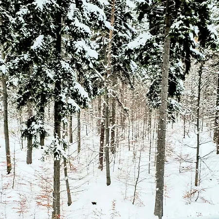 Z Pieknym Widokiem Na Schreiberhau