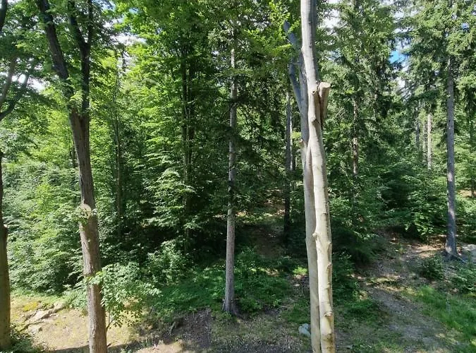 Z Pieknym Widokiem Na * Schreiberhau