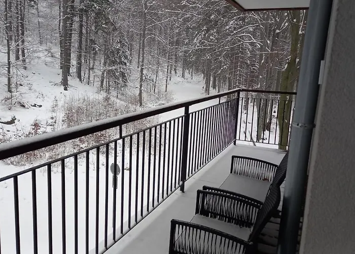 Z Pieknym Widokiem Na Apartment