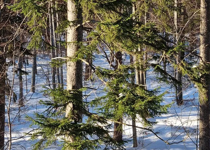 Z Pieknym Widokiem Na Apartment *
