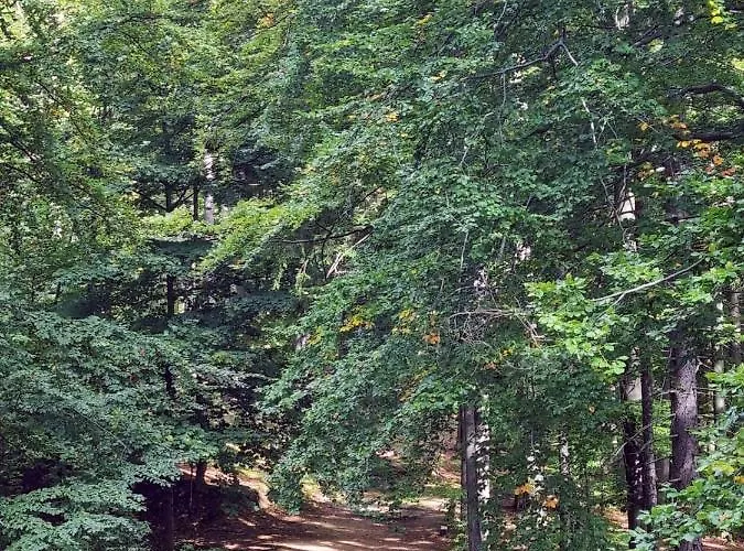 Apartment Z Pieknym Widokiem Na