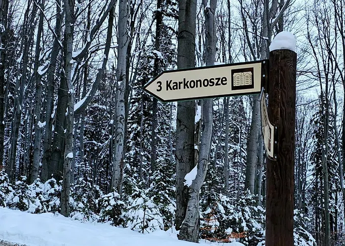 Z Pieknym Widokiem Na Apartment Schreiberhau