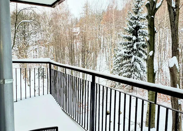 Z Pieknym Widokiem Na Apartment