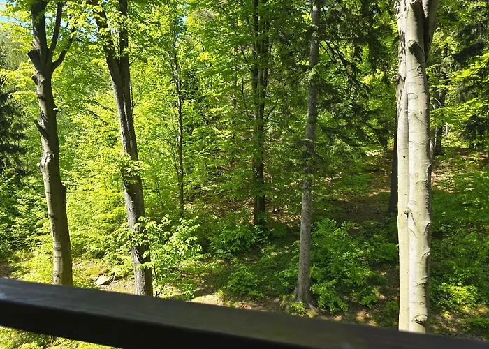 Apartment Z Pieknym Widokiem Na