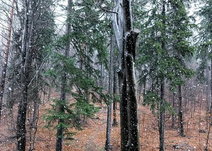 Apartment Z Pieknym Widokiem Na