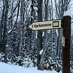 Z Pieknym Widokiem Na 아파트 스클라르스카포렘바