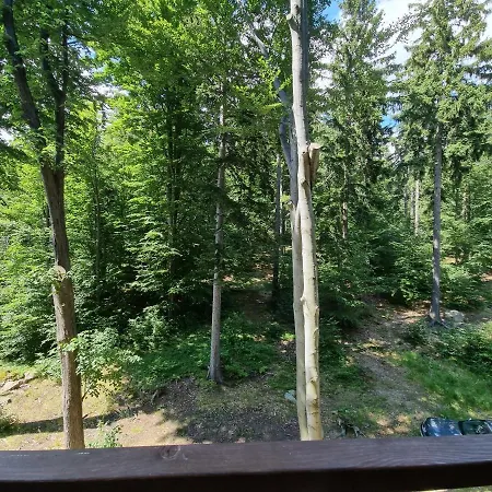 Z Pieknym Widokiem Na Daire