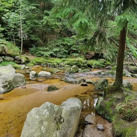 Daire Z Pieknym Widokiem Na