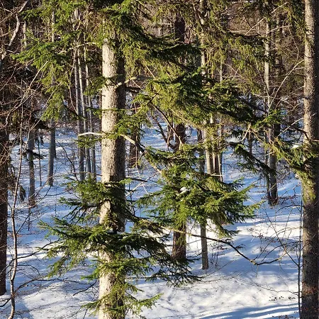Z Pieknym Widokiem Na Daire *