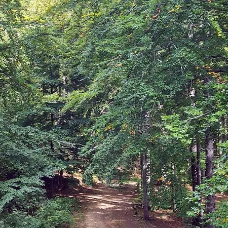 Daire Z Pieknym Widokiem Na