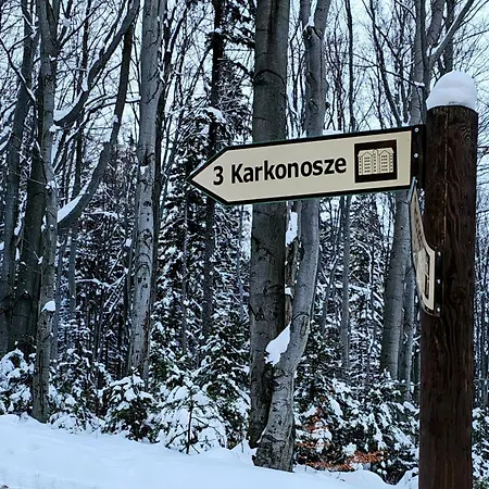 Z Pieknym Widokiem Na Daire Szklarska Poreba