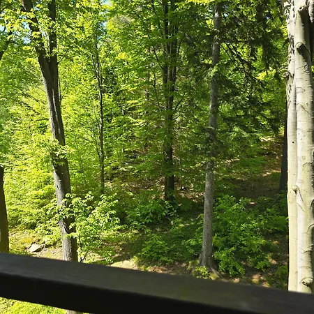 Daire Z Pieknym Widokiem Na