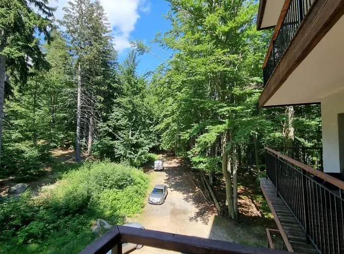 Z Pięknym Widokiem Na *