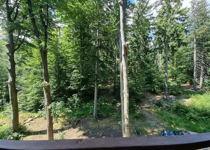 Z Pięknym Widokiem Na Apartament