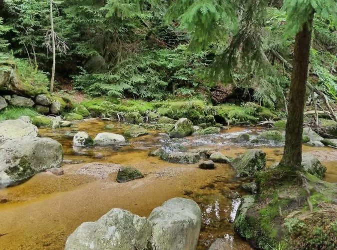 Apartament Z Pięknym Widokiem Na