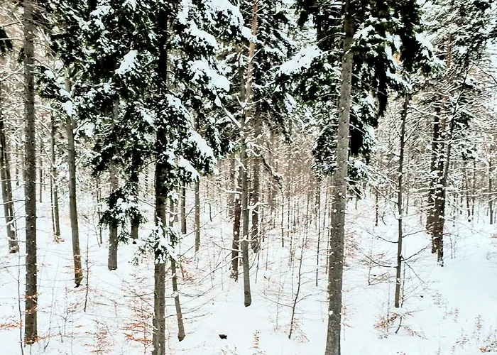 Z Pieknym Widokiem Na 스클라르스카포렘바